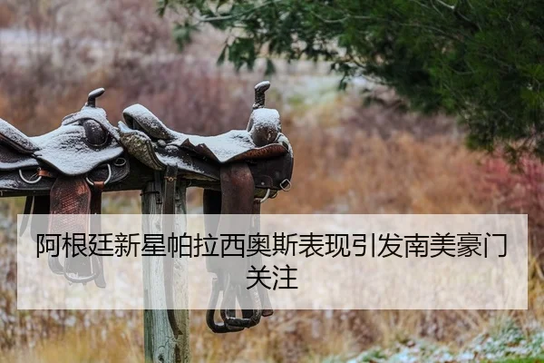 阿根廷新星帕拉西奥斯表现引发南美豪门关注